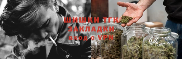 дмт Алзамай