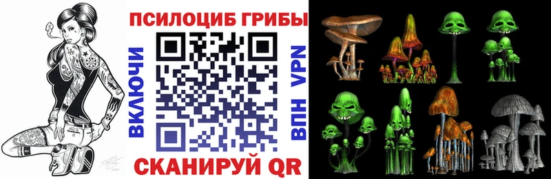 магазин продажи   Сорочинск  Псилоцибиновые грибы Psilocybine cubensis 